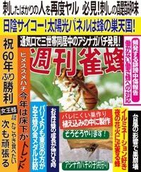 週刊雀蜂　第四号　