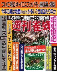 週刊雀蜂　7/17号！