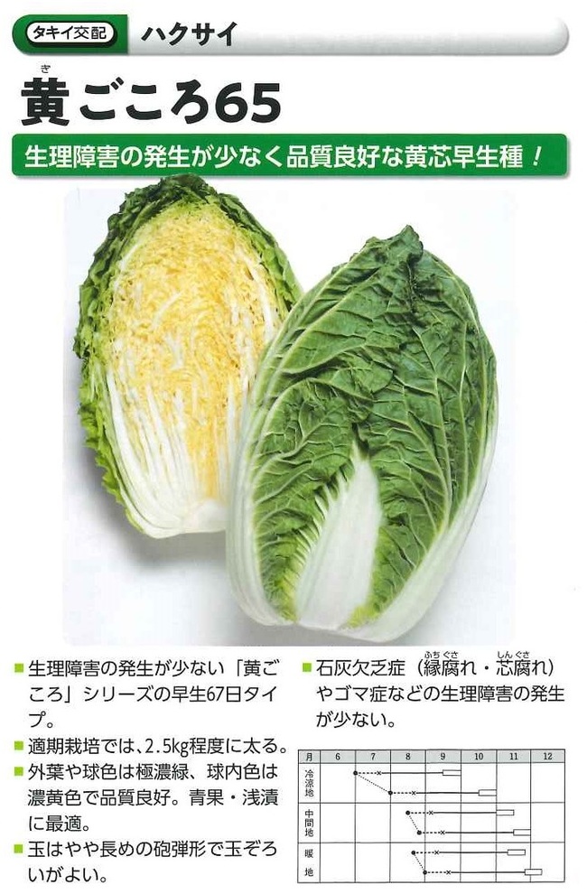 白菜の苗が一部入荷致しました 土と親しむ 家庭菜園 農業応援歌