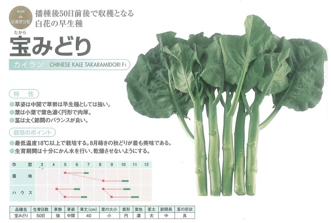 ケールのたねまき時 土と親しむ 家庭菜園 農業応援歌