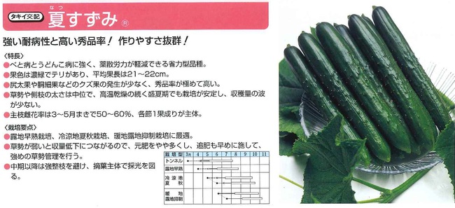 本日新たに入荷した野菜苗の品種
