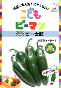 薬になる野菜　～　ピーマン　～