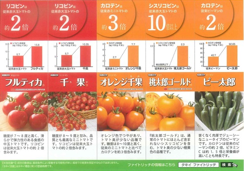 ファイトリッチな野菜苗が入荷しました！