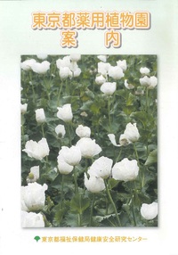 薬用植物