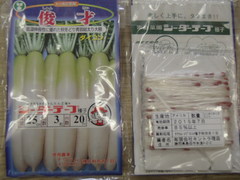 楽々タネ蒔き　～シーダーテープ加工種子～
