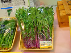 カラフルな野菜