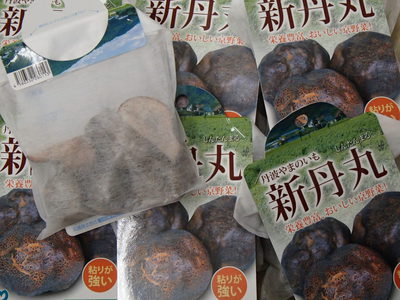 新丹丸(丹波山の芋)の種芋が入荷致しました！
