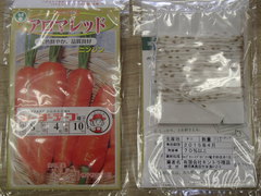 楽々タネ蒔き　～シーダーテープ加工種子～