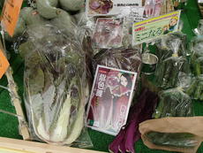 農場研修