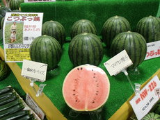 薬になる野菜　～　スイカ　～