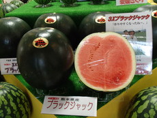 薬になる野菜　～　スイカ　～