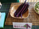 薬になる野菜　～　ナス　～