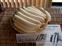 薬になる野菜　～　ナス　～