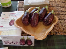 薬になる野菜　～　ナス　～