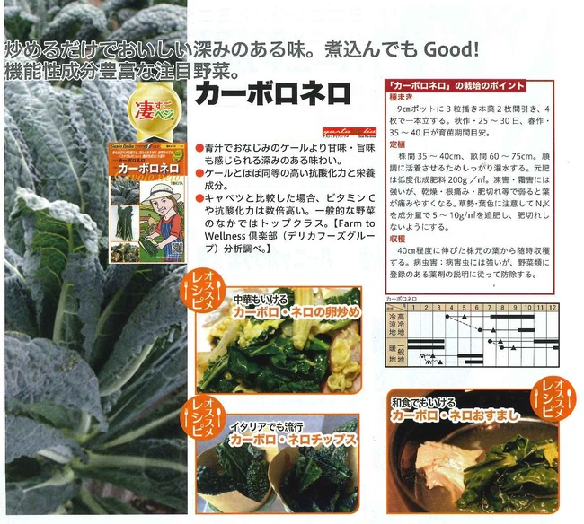ケールの苗の販売を始めました！