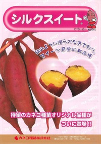 早生ゆたか里芋の種芋が入荷致しました！│土と親しむ ～家庭菜園