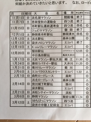 今後の予定