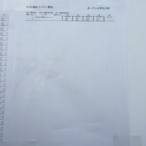 藤枝リバティ駅伝