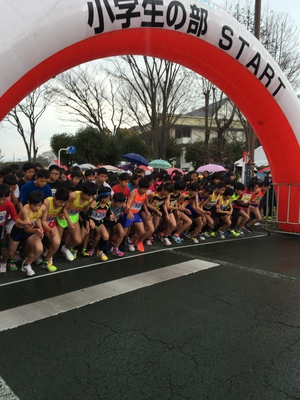 静岡マラソン