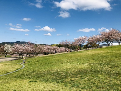 4月8日の記事