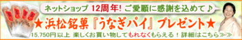 「うなぎパイ」プレゼント企画
