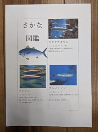 小学5年生のワード作品（さかな図鑑）