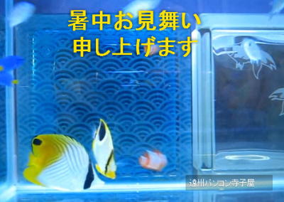 ５年前に作った、YouTube動画＜暑中お見舞い編＞