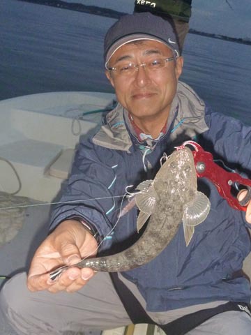 アカムツのち、ボトムワインド