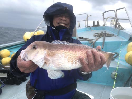 巨大シロアマ！アジ、イサキ