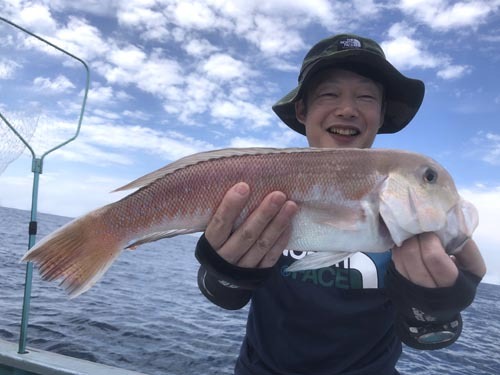 巨大シロアマ！アジ、イサキ