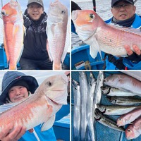 最近のアマダイ以外の魚