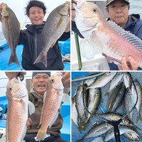 巨アジ爆釣＆イサキ＆大アマ