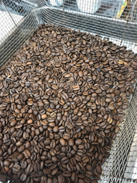 自家焙煎珈琲中 2018/11/01 12:40:14