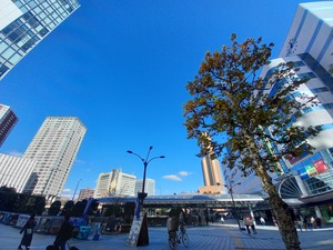 三連休初日の浜松は気持ちの良い青空です！