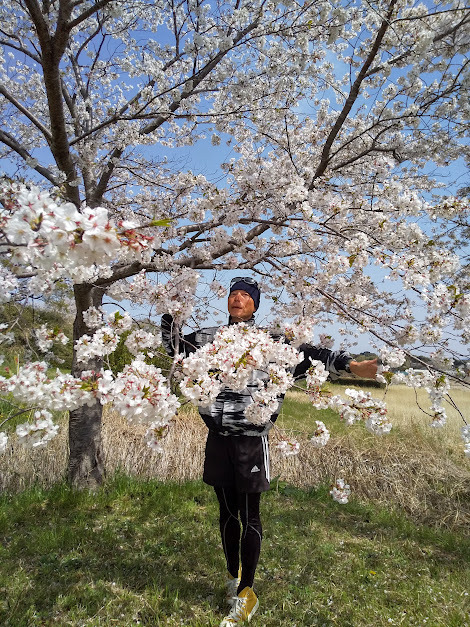 ★散りゆく桜も良いね～