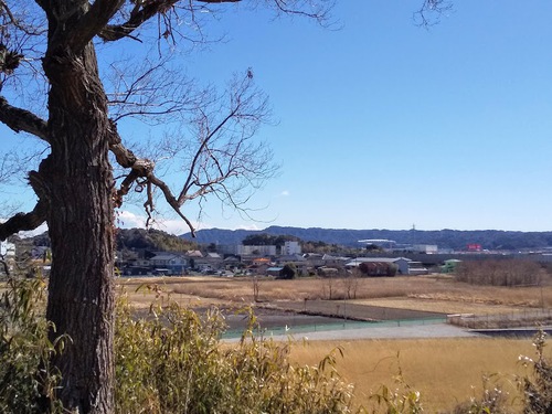 ★野鳥天国久野城址（袋井市）