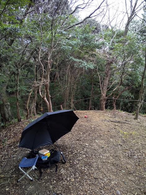 ★雨が降ってもぷらぷら～