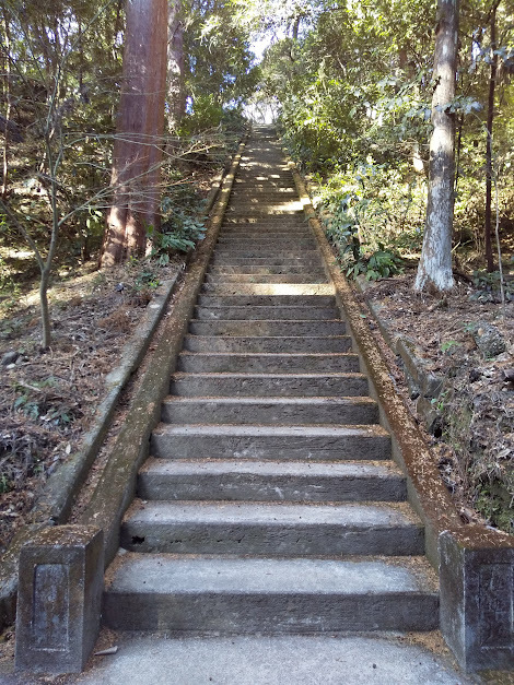 ★油山寺（袋井市）階段で足腰チェック