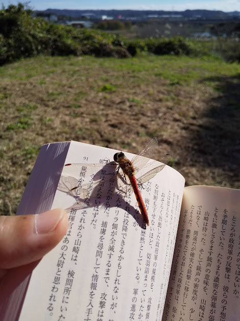 ★自然に没入～