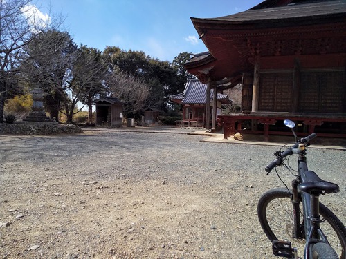 ★またまた遭遇カモシカちゃん！
