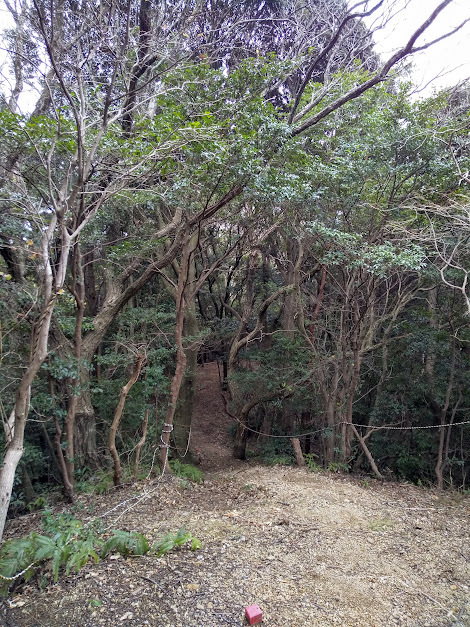★秘密の場所から周南中が～