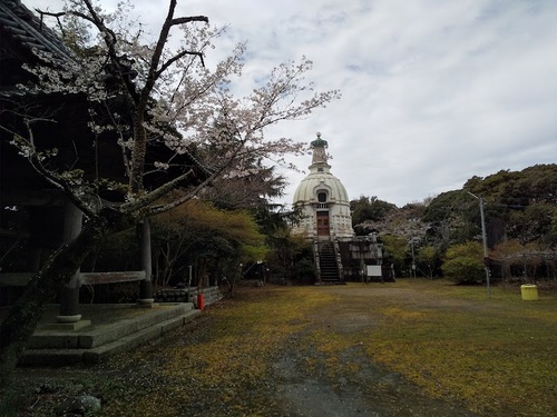 ★可睡斎も桜が楽しめるだよ～