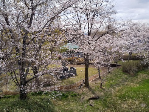 ★春林院古墳（掛川市）