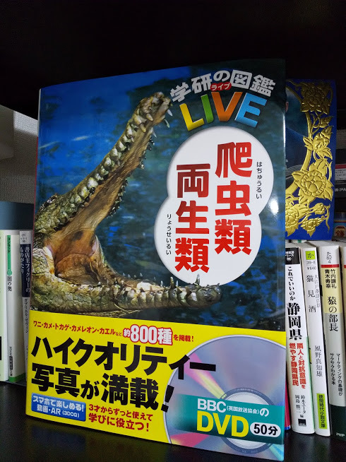 爬虫類両生類図鑑ゲット 東郷塾のおか本菌 袋井市 学習塾 ｉｓｃ留学センター