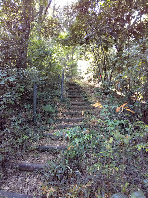 ★桶ケ谷沼をぐるっと一周
