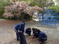 田中神社での清掃活動 2018/04/16 10:25:09