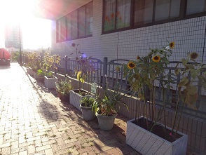 夏の終わり・・・①