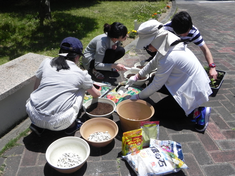花壇のお手入れ