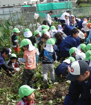 保育園児と「いも掘り」をしました！