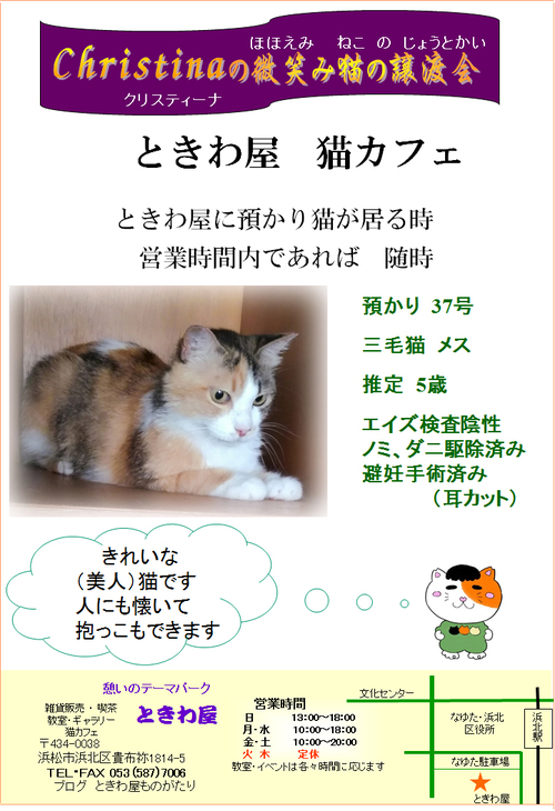 微笑み猫の譲渡会